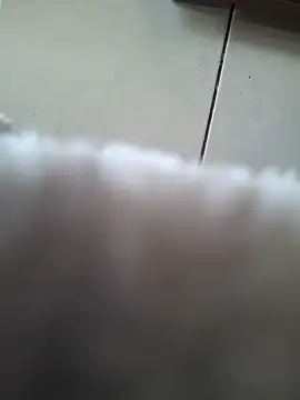 biboii online show from 02-08-25, 03:00