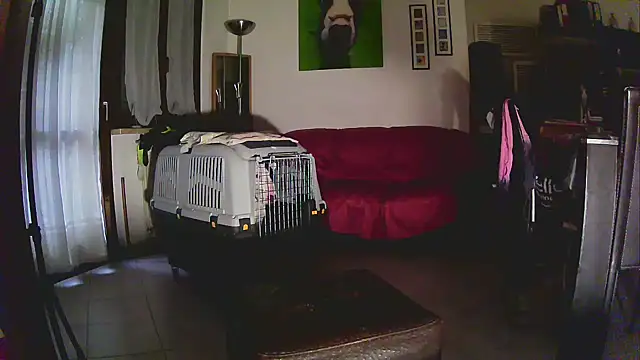 Snapshot of Sabrina-Palermo chatting on 01-06-26, 12:31 Sabrina-Palermo online show from 01-06-26, 12:31