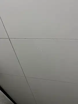 Tintola online show from 02-23-26, 12:30