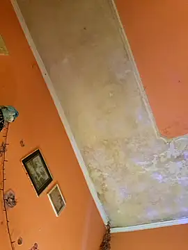 ducicsajsziii online show from 01-10-25, 07:25