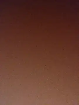 Snapshot of pinaxpack1 chatting on 11-03-25, 04:03 pinaxpack1 online show from 11-03-25, 04:03