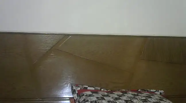 shekira99 online show from 01-28-25, 02:21