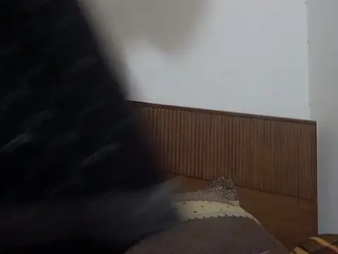 Snapshot of shekira99 chatting on 03-01-26, 01:57 shekira99 online show from 03-01-26, 01:57