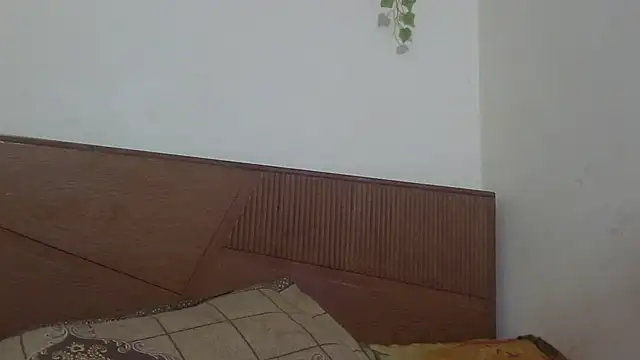 shekira99 online show from 07-22-26, 04:15