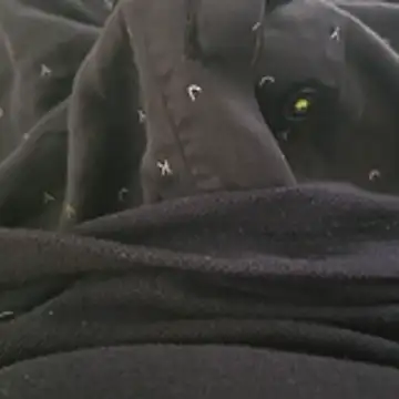 surfer fun29 online show from 12-02-25, 05:35