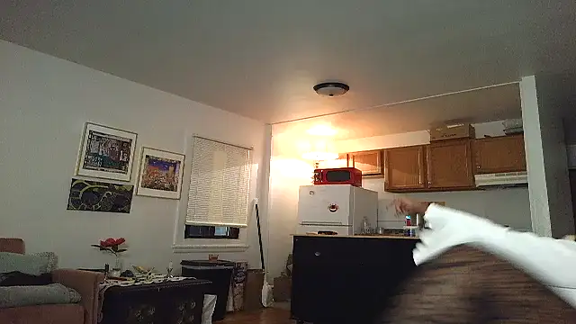 SiminFox online show from 11-27-25, 04:03