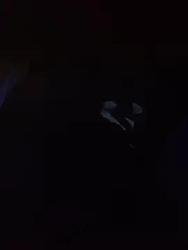 Hotbodyscottie online show from 03-13-26, 09:05