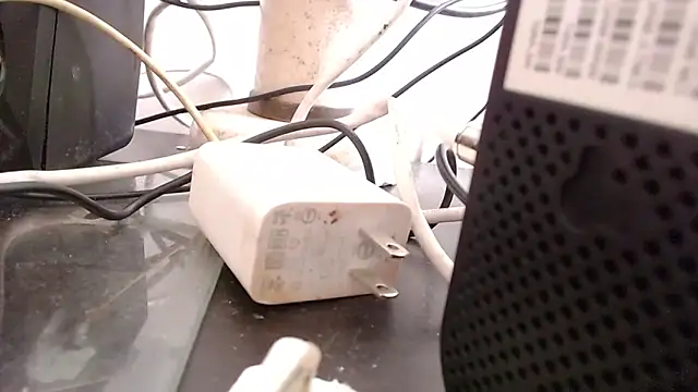 Snapshot of bardotbigcockts chatting on 09-25-25, 08:01 bardotbigcockts online show from 09-25-25, 08:01