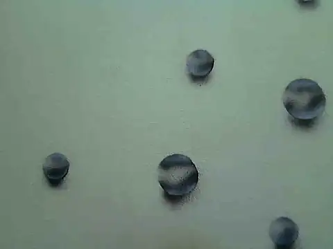 Jillian Pattie online show from 01-07-25, 04:59