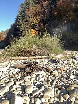 artXhibitor online show from 10-18-25, 02:29