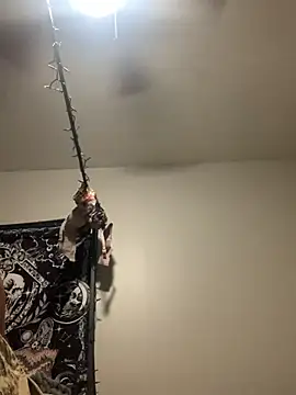 Snapshot of KittyLoroi chatting on 11-08-25, 09:20 KittyLoroi online show from 11-08-25, 09:20