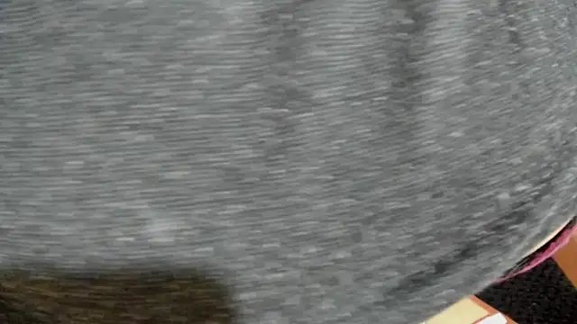 Cloee66 online show from 02-05-25, 07:42