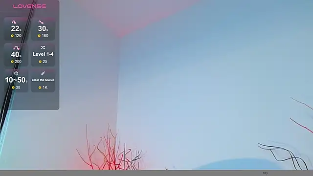 Snapshot of mike_wallace chatting on 12-12-24, 06:21 mike wallace online show from 12-12-24, 06:21