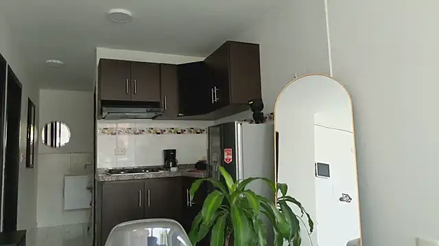 grey   27 online show from 03-10-25, 02:48