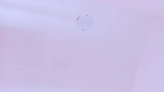 LoveQueen2 online show from 03-20-26, 11:48