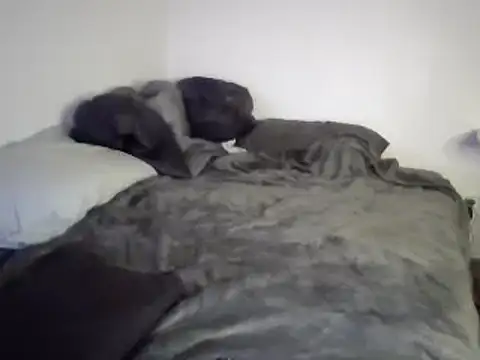 Iliketocooksquirt25 online show from 03-03-25, 08:05