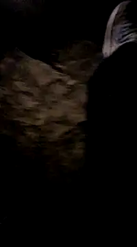 playtyme420691 online show from 12-07-24, 05:15