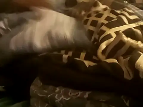 Blkstylion online show from 12-14-25, 02:50