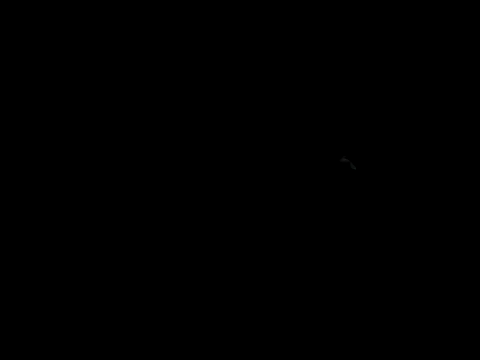 Blkstylion online show from 06-07-26, 10:08