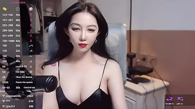 Snapshot of vyizh- chatting on 12-29-24, 04:40 vyizh- online show from 12-29-24, 04:40