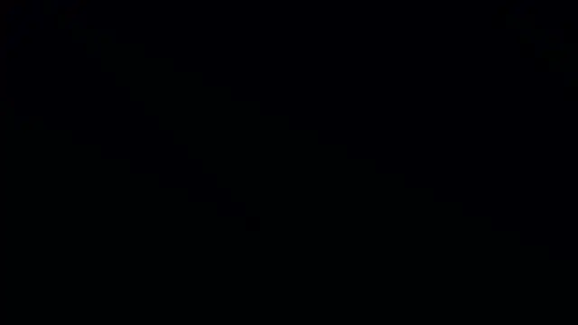 Bonkoleus online show from 03-02-25, 06:08