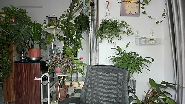 Oliver Nl online show from 03-14-26, 05:24