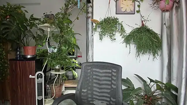 Oliver Nl online show from 04-16-26, 04:46