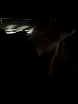 dickemdowncharleybrown online show from 12-17-25, 03:51