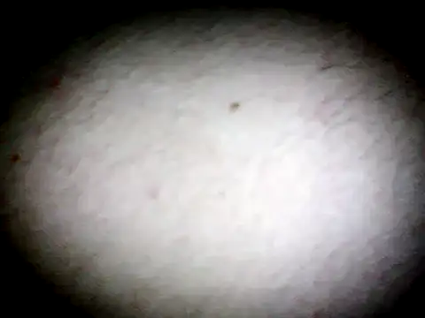 anald66666 online show from 01-13-25, 07:43