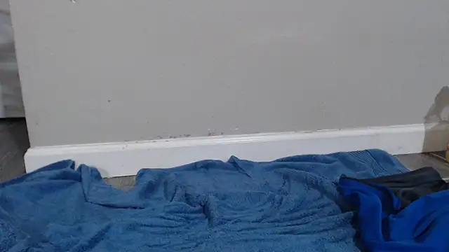 Snapshot of Dogz_n_daugthers chatting on 12-17-24, 06:24 Dogz n daugthers online show from 12-17-24, 06:24