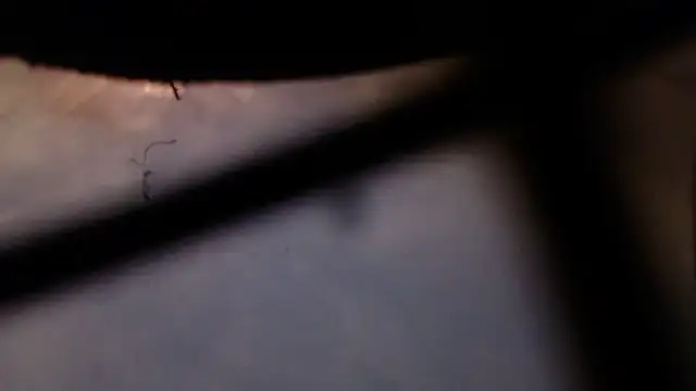 Snapshot of Cordt30 chatting on 02-12-26, 04:46 Cordt30 online show from 02-12-26, 04:46