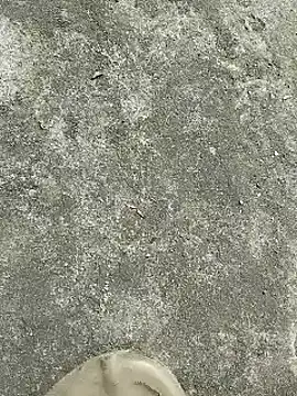 Snapshot of rana_cute chatting on 12-22-24, 07:22 rana cute online show from 12-22-24, 07:22