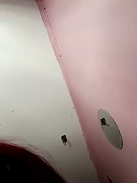 zafka 9 online show from 12-11-24, 09:12