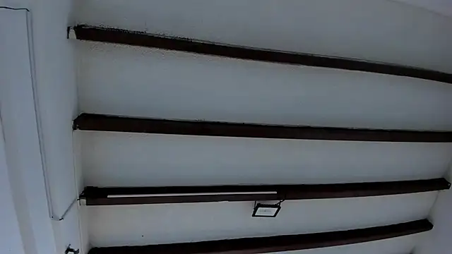 Oriana Guzman online show from 01-30-25, 12:06