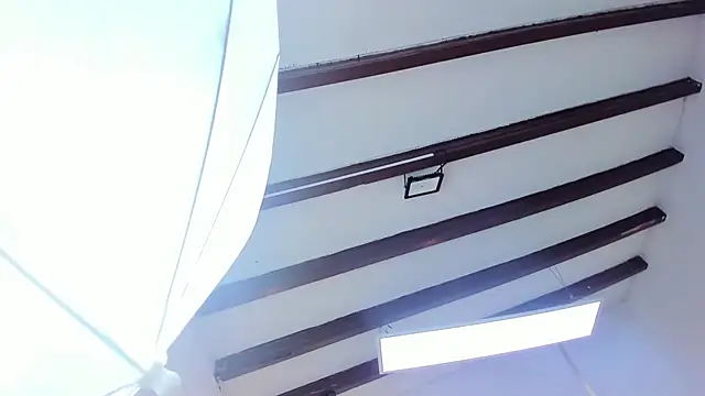 Oriana Guzman online show from 02-22-25, 06:41