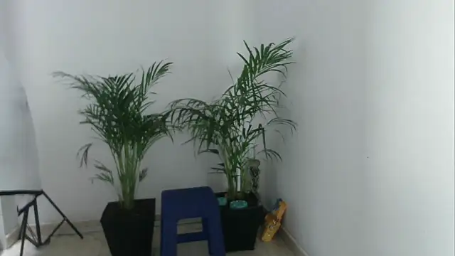 skylarhot420 online show from 03-05-25, 03:07