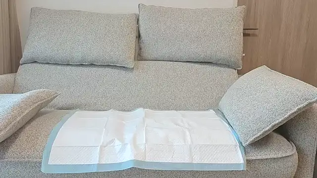 Snapshot of Ema_japanese chatting on 11-20-25, 06:13 Ema japanese online show from 11-20-25, 06:13