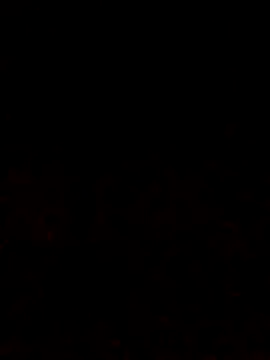 Adee21e online show from 10-12-25, 06:51