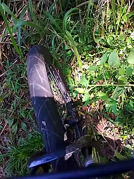 Adee21e online show from 11-21-25, 04:38