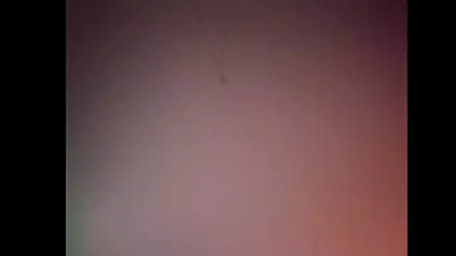 Pegg-fist-me online show from 11-28-25, 12:02