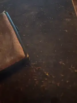 Snapshot of FreshWonder0 chatting on 11-17-25, 05:19 FreshWonder0 online show from 11-17-25, 05:19