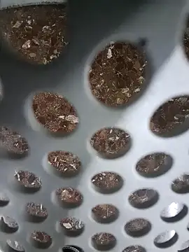 SexyErola27 online show from 12-06-24, 11:11