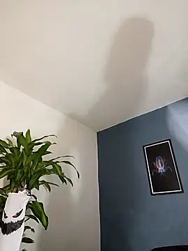 SilvaBranko online show from 11-04-25, 10:09