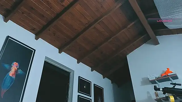 SilvaBranko online show from 03-14-26, 12:06