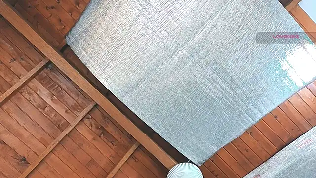 SilvaBranko online show from 03-16-26, 12:06