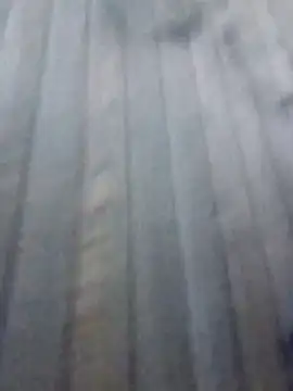 maleesa online show from 10-12-25, 05:28