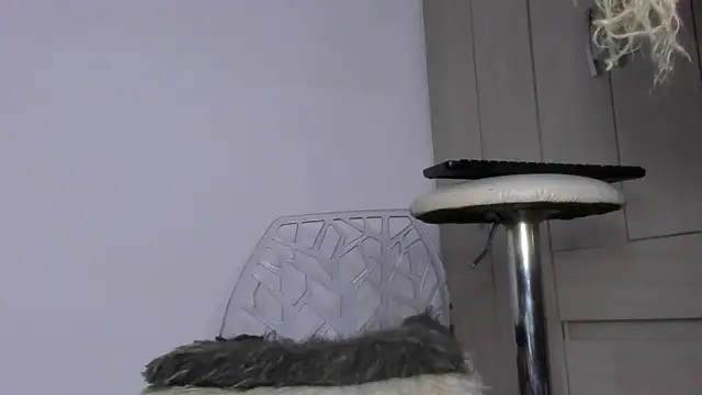 Kendall Hotsexy x online show from 05-20-26, 07:03