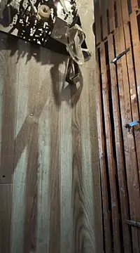 czruz online show from 03-16-25, 10:22