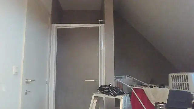 Vekie 007 online show from 07-17-26, 04:08