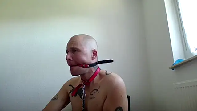 Snapshot of gaywolf426 chatting on 07-29-26, 09:07 gaywolf426 online show from 07-29-26, 09:07